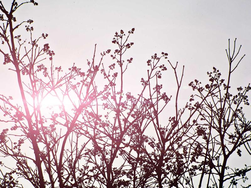 sudoku problem solving screenshot 6