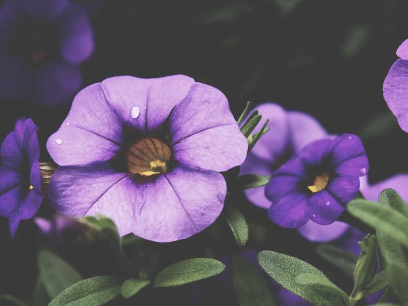 sudoku level unlock screenshot 1